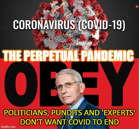 The perpetual pandemic; Politicians, pundits and 'experts' don't want COVID to end | THE PERPETUAL PANDEMIC; POLITICIANS, PUNDITS AND 'EXPERTS'
DON'T WANT COVID TO END | image tagged in the perpetual pandemic | made w/ Imgflip meme maker