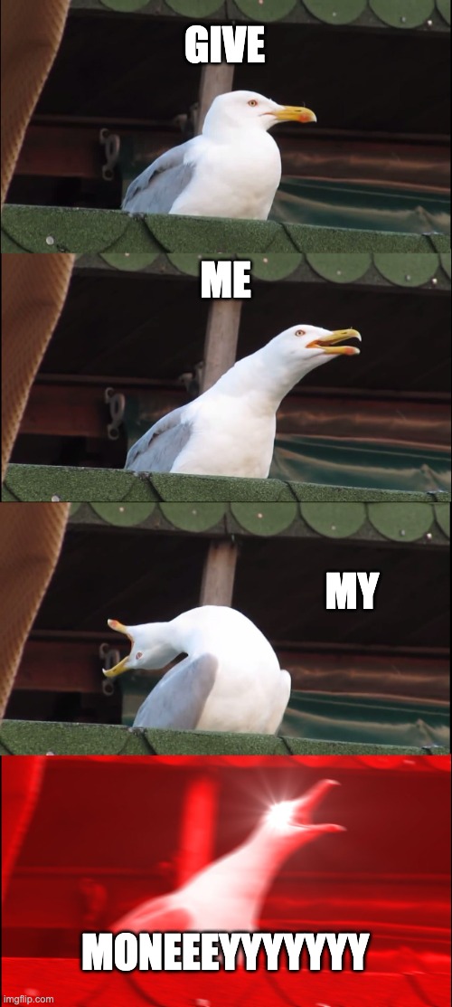 angry seagull | GIVE; ME; MY; MONEEEYYYYYYY | image tagged in memes,inhaling seagull | made w/ Imgflip meme maker