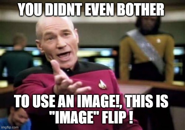 Picard Wtf Meme | YOU DIDNT EVEN BOTHER TO USE AN IMAGE!, THIS IS 
"IMAGE" FLIP ! | image tagged in memes,picard wtf | made w/ Imgflip meme maker