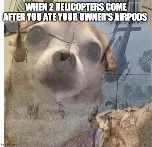 PTSD Chihuahua | WHEN 2 HELICOPTERS COME AFTER YOU ATE YOUR OWNER'S AIRPODS | image tagged in ptsd chihuahua | made w/ Imgflip meme maker