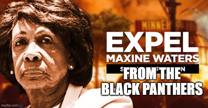 Black Panther not cougar :) | FROM THE BLACK PANTHERS | image tagged in maxine waters | made w/ Imgflip meme maker