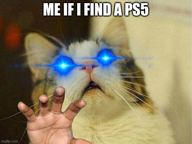 ps5 | ME IF I FIND A PS5 | image tagged in scared cat,ps5 | made w/ Imgflip meme maker