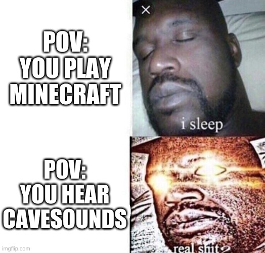 i sleep real shit | POV: YOU PLAY MINECRAFT; POV: YOU HEAR CAVESOUNDS | image tagged in i sleep real shit,funny,fun,minecraft | made w/ Imgflip meme maker
