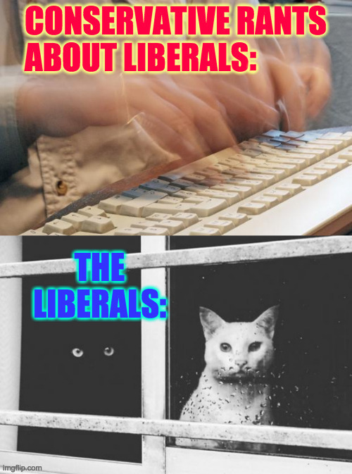 Inspired by one of the funnier memes in this stream. | : | image tagged in memes,conservative ranting,liberals | made w/ Imgflip meme maker