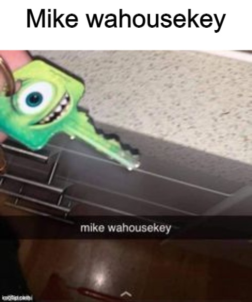 i'll take your entire stock | Mike wahousekey | image tagged in funny | made w/ Imgflip meme maker