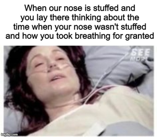 Having a stuffed nose in a nutshell | When our nose is stuffed and you lay there thinking about the time when your nose wasn't stuffed and how you took breathing for granted | image tagged in relatable | made w/ Imgflip meme maker