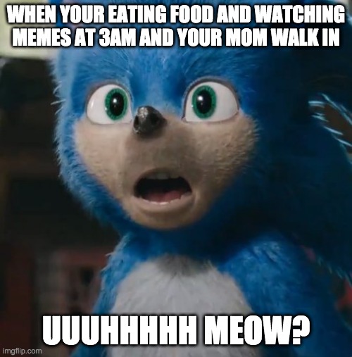 3AM Be like | WHEN YOUR EATING FOOD AND WATCHING MEMES AT 3AM AND YOUR MOM WALK IN; UUUHHHHH MEOW? | image tagged in sonic movie | made w/ Imgflip meme maker