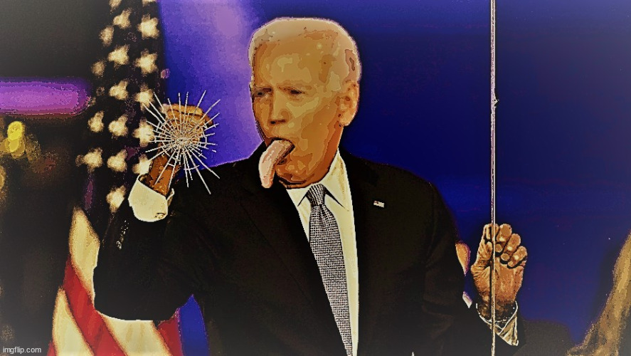 our president | image tagged in joe biden | made w/ Imgflip meme maker