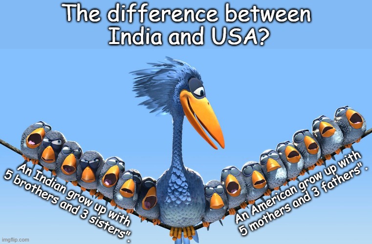 India and USA? | The difference between
 India and USA? An American grow up with 5 mothers and 3 fathers". An Indian grow up with 5 brothers and 3 sisters". | image tagged in political | made w/ Imgflip meme maker