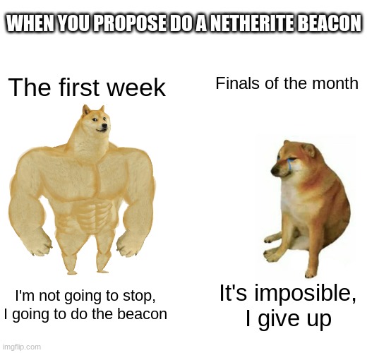 Buff Doge vs. Cheems | WHEN YOU PROPOSE DO A NETHERITE BEACON; The first week; Finals of the month; I'm not going to stop, I going to do the beacon; It's imposible, I give up | image tagged in memes,buff doge vs cheems | made w/ Imgflip meme maker