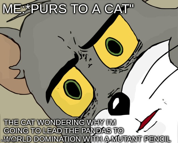 PURRING TO A CAT | ME:*PURS TO A CAT"; THE CAT WONDERING WHY I'M GOING TO LEAD THE PANDAS TO WORLD DOMINATION WITH A MUTANT PENCIL | image tagged in memes,unsettled tom | made w/ Imgflip meme maker