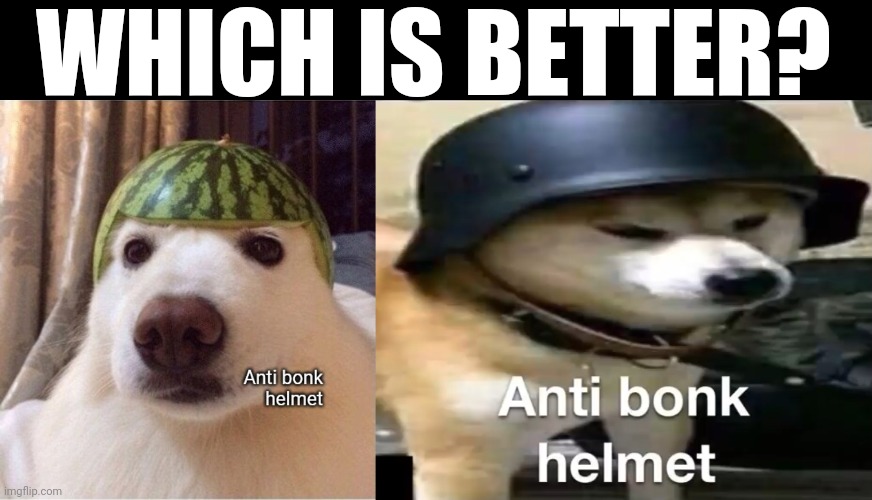 WHICH IS BETTER? | image tagged in anti bonk helmet,doge anti-bonk helmet | made w/ Imgflip meme maker