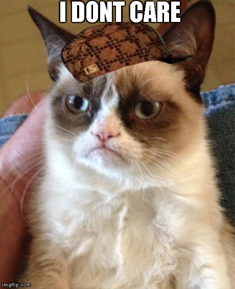 Grumpy Cat Meme | I DONT CARE | image tagged in memes,grumpy cat | made w/ Imgflip meme maker
