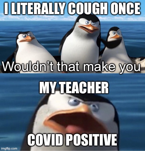 Wouldn’t that make you | I LITERALLY COUGH ONCE; MY TEACHER; COVID POSITIVE | image tagged in wouldn t that make you | made w/ Imgflip meme maker