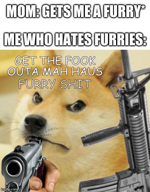 I dont really hate furries but this is considered a joke meme or smth | MOM: GETS ME A FURRY*; ME WHO HATES FURRIES:; FURRY SHIT | image tagged in doge | made w/ Imgflip meme maker
