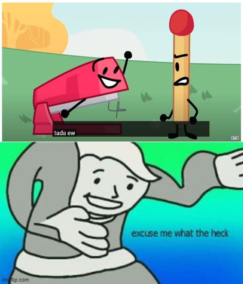 Excuse Me What The Heck | image tagged in excuse me what the heck,bfb | made w/ Imgflip meme maker
