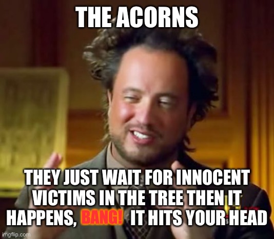 So true! | THE ACORNS; THEY JUST WAIT FOR INNOCENT VICTIMS IN THE TREE THEN IT HAPPENS,                IT HITS YOUR HEAD; BANG! | image tagged in memes,ancient aliens | made w/ Imgflip meme maker