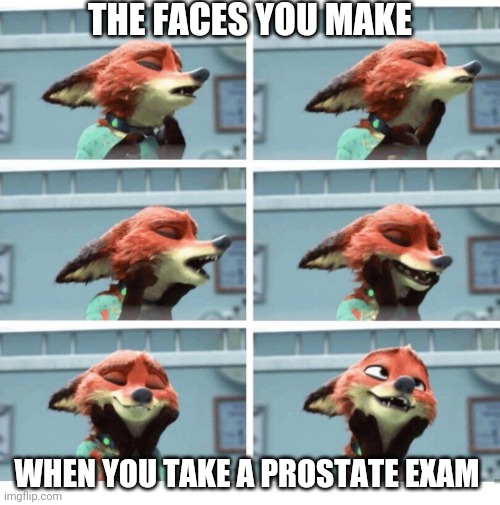 Mr. Wilde Goes to the Doctor | THE FACES YOU MAKE; WHEN YOU TAKE A PROSTATE EXAM | image tagged in nick wilde prostate exam,zootopia,nick wilde,the face you make when,funny,memes | made w/ Imgflip meme maker