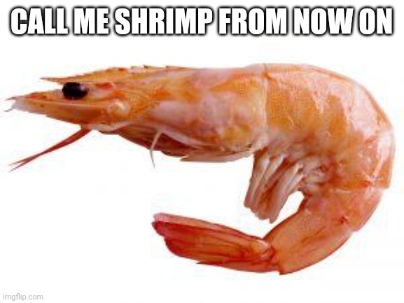 Shrimply | CALL ME SHRIMP FROM NOW ON | image tagged in shrimply | made w/ Imgflip meme maker