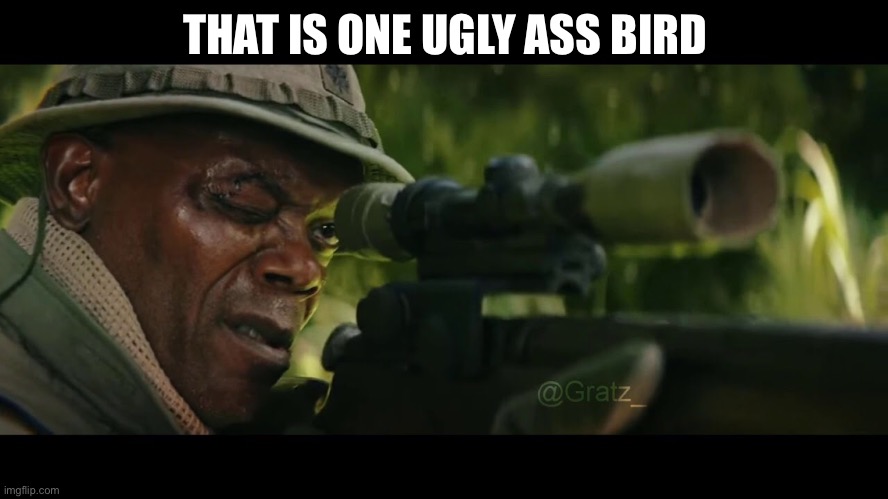 THAT IS ONE UGLY ASS BIRD | made w/ Imgflip meme maker