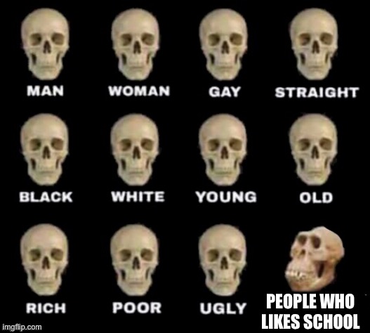 True | PEOPLE WHO LIKES SCHOOL | image tagged in idiot skull | made w/ Imgflip meme maker