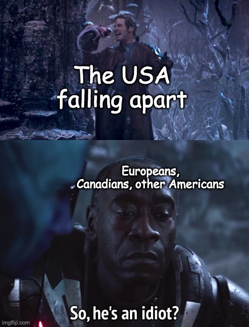 The USA is kinda stupid sometimes | The USA falling apart; Europeans, Canadians, other Americans | image tagged in so he s an idiot | made w/ Imgflip meme maker