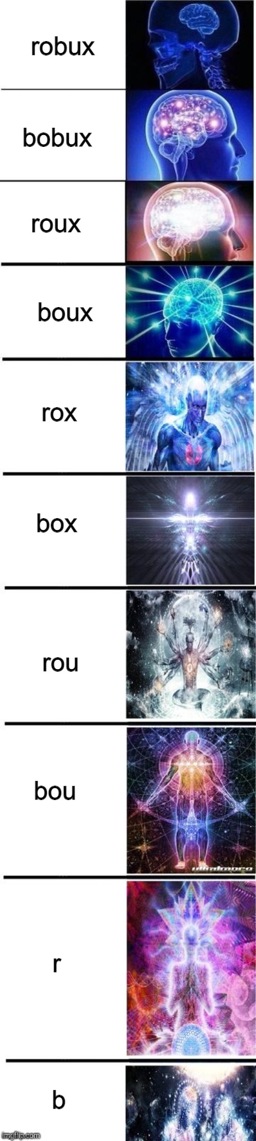 Expanding brain 10 panel | robux; bobux; roux; boux; rox; box; rou; bou; r; b | image tagged in expanding brain 10 panel | made w/ Imgflip meme maker
