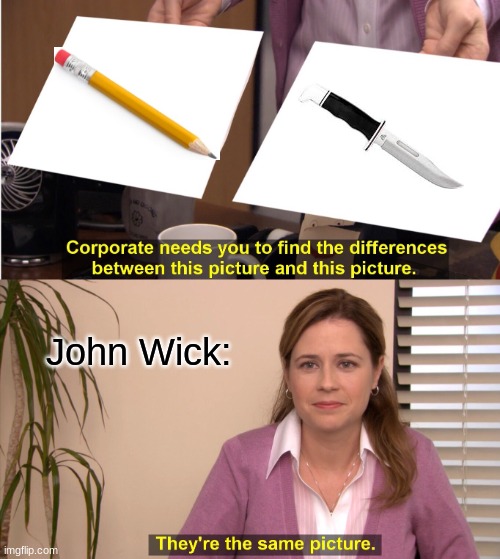 They're The Same Picture Meme | John Wick: | image tagged in memes,they're the same picture | made w/ Imgflip meme maker