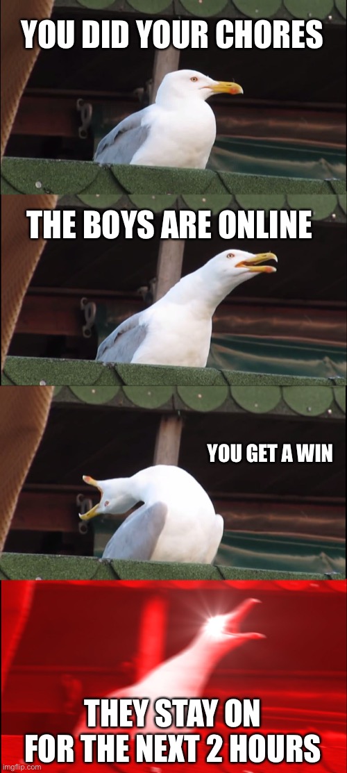 Inhaling Seagull | YOU DID YOUR CHORES; THE BOYS ARE ONLINE; YOU GET A WIN; THEY STAY ON FOR THE NEXT 2 HOURS | image tagged in memes,inhaling seagull | made w/ Imgflip meme maker