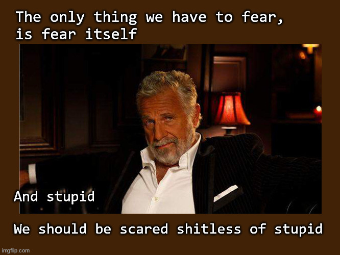 The only thing we have to fear is stupid | The only thing we have to fear,
is fear itself; And stupid 
 
We should be scared shitless of stupid | image tagged in the most interesting man in the world | made w/ Imgflip meme maker