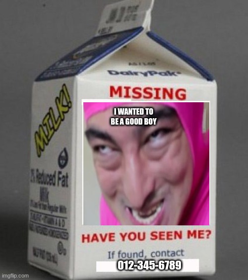 Milk carton | I WANTED TO BE A GOOD BOY; 012-345-6789 | image tagged in milk carton | made w/ Imgflip meme maker