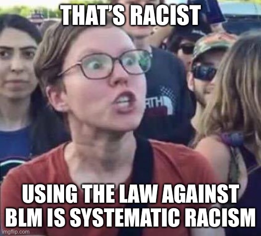 Angry Liberal | THAT’S RACIST USING THE LAW AGAINST BLM IS SYSTEMATIC RACISM | image tagged in angry liberal | made w/ Imgflip meme maker
