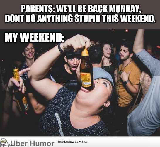 PARENTS: WE'LL BE BACK MONDAY, DONT DO ANYTHING STUPID THIS WEEKEND. MY WEEKEND: | image tagged in funny memes | made w/ Imgflip meme maker