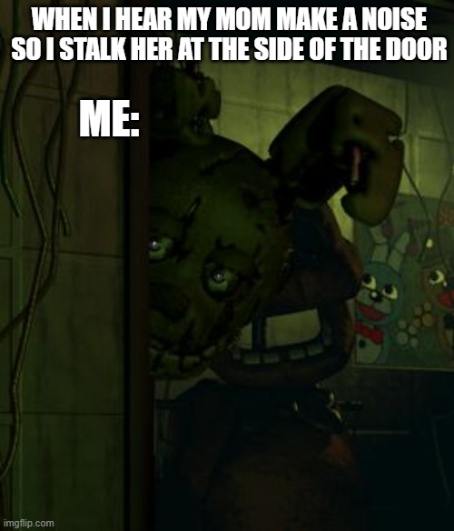springtrap in door | WHEN I HEAR MY MOM MAKE A NOISE SO I STALK HER AT THE SIDE OF THE DOOR; ME: | image tagged in springtrap in door | made w/ Imgflip meme maker