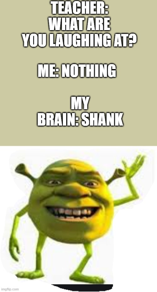 pigz | TEACHER: WHAT ARE YOU LAUGHING AT? ME: NOTHING; MY BRAIN: SHANK | image tagged in funny memes,lol,funny,memes,shrek | made w/ Imgflip meme maker