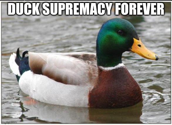 Actual Advice Mallard Meme | DUCK SUPREMACY FOREVER | image tagged in memes,actual advice mallard | made w/ Imgflip meme maker