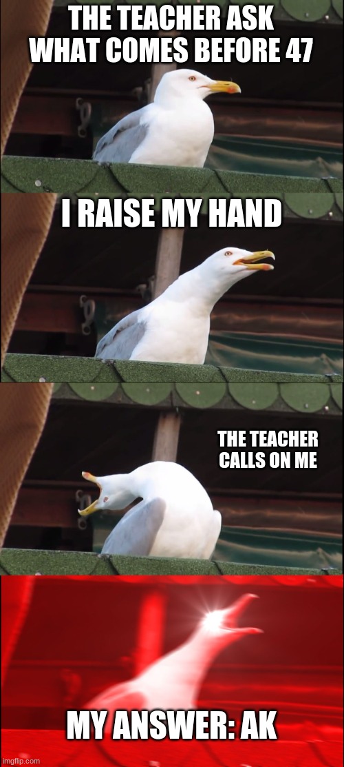 ak-47 | THE TEACHER ASK WHAT COMES BEFORE 47; I RAISE MY HAND; THE TEACHER CALLS ON ME; MY ANSWER: AK | image tagged in memes,inhaling seagull | made w/ Imgflip meme maker
