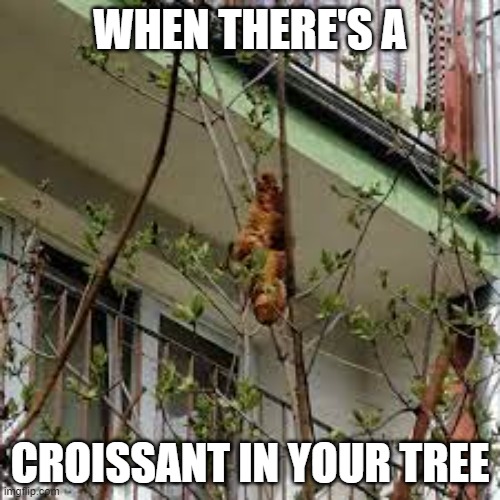 When there's a croissant in your tree | WHEN THERE'S A; CROISSANT IN YOUR TREE | image tagged in croissant,meme,funny,laugh,news | made w/ Imgflip meme maker