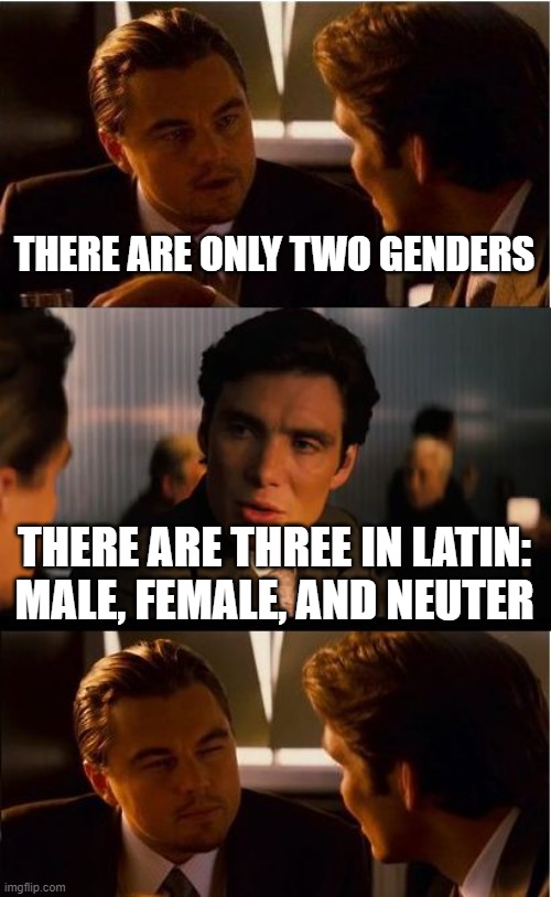 Were the Romans right to assume the genders of their nouns? | THERE ARE ONLY TWO GENDERS; THERE ARE THREE IN LATIN: MALE, FEMALE, AND NEUTER | image tagged in memes,inception,gender identity | made w/ Imgflip meme maker