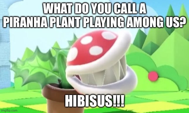 There’s a piranha plant among us... | WHAT DO YOU CALL A PIRANHA PLANT PLAYING AMONG US? HIBISUS!!! | image tagged in funny | made w/ Imgflip meme maker