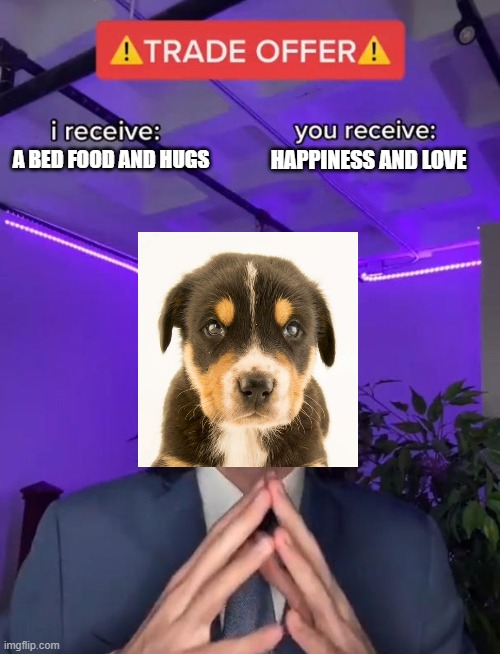 Dog owners can relate | HAPPINESS AND LOVE; A BED FOOD AND HUGS | image tagged in trade offer | made w/ Imgflip meme maker