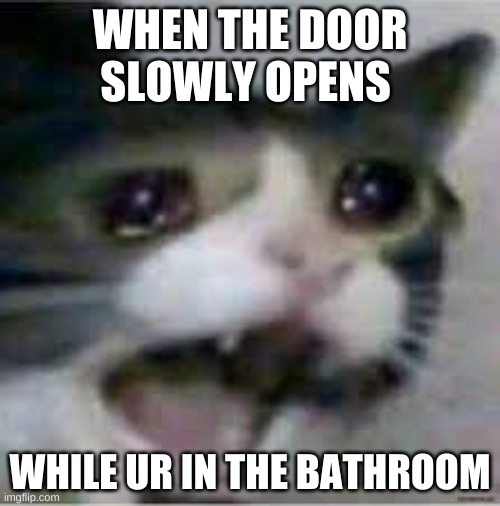 That moment | WHEN THE DOOR SLOWLY OPENS; WHILE UR IN THE BATHROOM | image tagged in bathroom humor | made w/ Imgflip meme maker