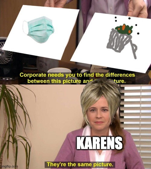 They are the same picture | KARENS | image tagged in they are the same picture | made w/ Imgflip meme maker