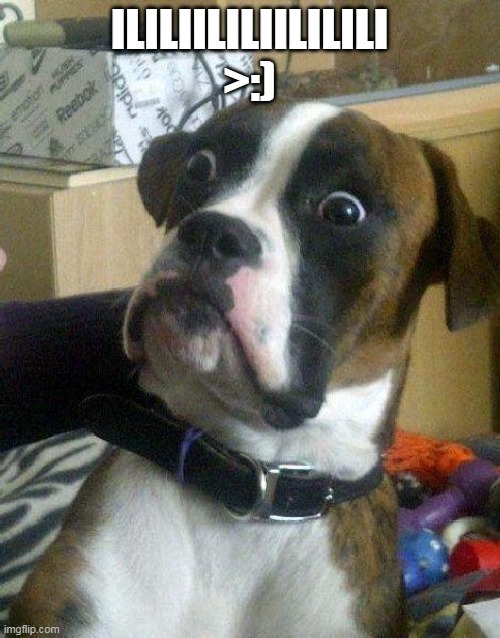 Surprised Dog | ILILIILILIILILILI >:) | image tagged in surprised dog | made w/ Imgflip meme maker