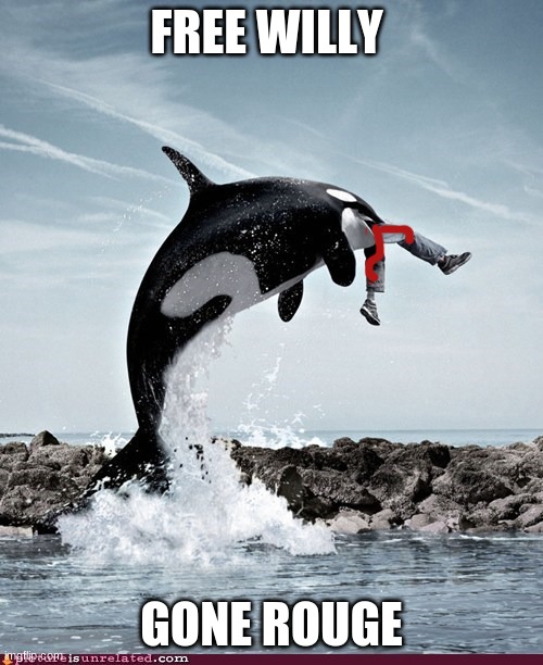 Free Willy Gone Rouge | FREE WILLY; GONE ROUGE | image tagged in free willy | made w/ Imgflip meme maker