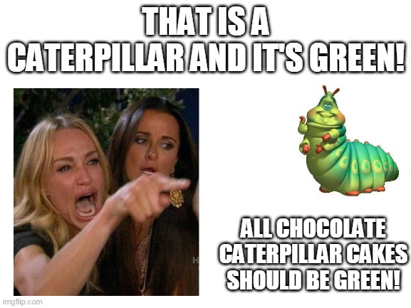 Caterpillars are green | THAT IS A CATERPILLAR AND IT'S GREEN! ALL CHOCOLATE CATERPILLAR CAKES SHOULD BE GREEN! | image tagged in blank white template,caterpillar cake,cuthbert vs colin,funny memes | made w/ Imgflip meme maker