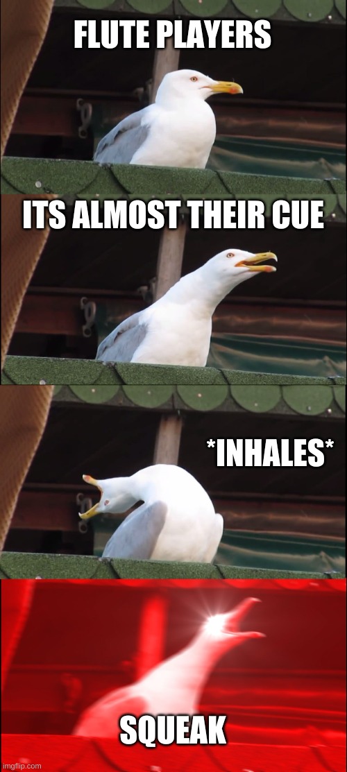 Inhaling Seagull | FLUTE PLAYERS; ITS ALMOST THEIR CUE; *INHALES*; SQUEAK | image tagged in memes,inhaling seagull | made w/ Imgflip meme maker