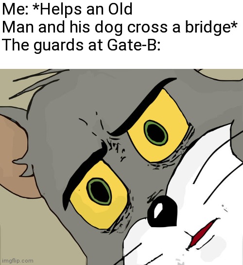 Unsettled Tom | Me: *Helps an Old Man and his dog cross a bridge*
The guards at Gate-B: | image tagged in memes,unsettled tom | made w/ Imgflip meme maker