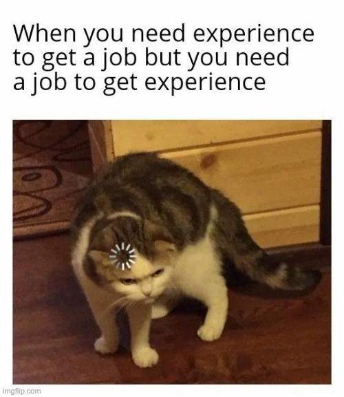 Hmm....... | image tagged in job,memes,experience,lol,confused cat,loading cat | made w/ Imgflip meme maker