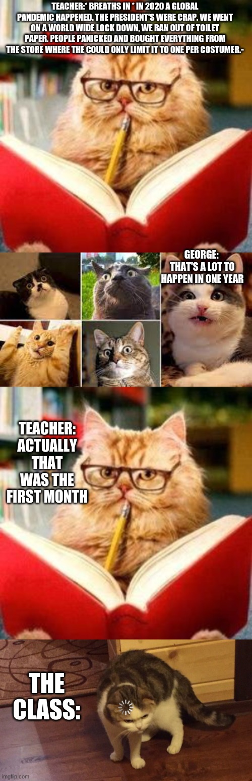 Cat class is in session | TEACHER:* BREATHS IN * IN 2020 A GLOBAL PANDEMIC HAPPENED. THE PRESIDENT'S WERE CRAP. WE WENT ON A WORLD WIDE LOCK DOWN, WE RAN OUT OF TOILET PAPER. PEOPLE PANICKED AND BOUGHT EVERYTHING FROM THE STORE WHERE THE COULD ONLY LIMIT IT TO ONE PER COSTUMER.-; GEORGE:  THAT'S A LOT TO HAPPEN IN ONE YEAR; TEACHER: ACTUALLY THAT WAS THE FIRST MONTH; THE CLASS: | image tagged in cats,cute cat | made w/ Imgflip meme maker